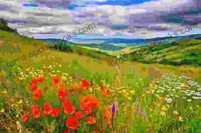 A Breathtaking Landscape Of Rolling Hills And Vibrant Wildflowers Under A Vast Texas Sky. Beneath The Texas Sky Jodi Thomas