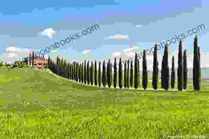 A Breathtaking Landscape Of Rolling Hills, Vineyards, And Cypress Trees In Tuscany Raging Envy: Timothy 2 An Insta Love Romance (Italian Lovers 13)