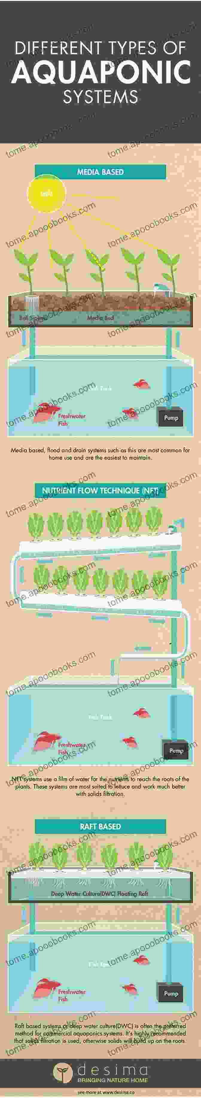 Aquaponics System Infographic THE EFFECTIVENESS OF AQUAPONICS SYSTEM