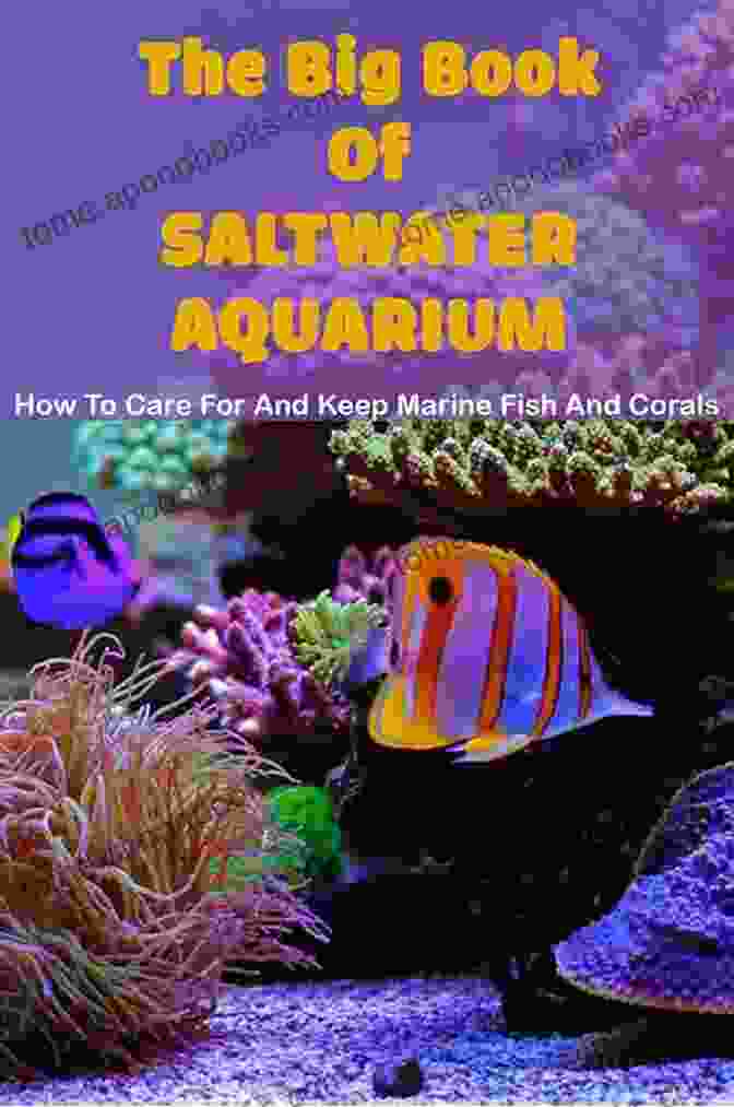 Book Cover Of How To Care For And Keep Marine Fish And Corals The Big Of Saltwater Aquarium: How To Care For And Keep Marine Fish And Corals