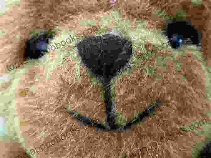 Close Up Of A Teddy Bear's Face With Felted Eyes, Nose, And Mouth Needle Felting Teddy Bears For Beginners