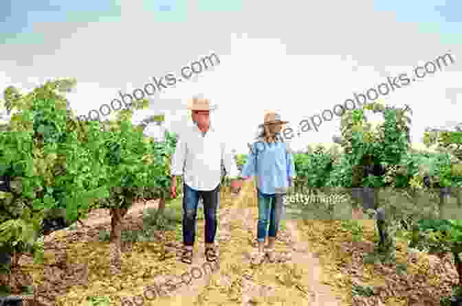 Couple Walking Through Vineyards Covert Affair: Lorenzo 4 An Insta Love Romance (Italian Lovers 10)