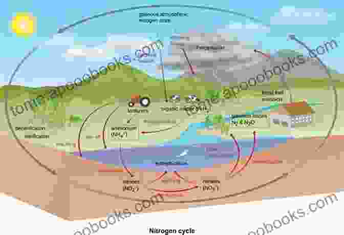 Diagram Illustrating The Interconnectedness Of Biogeochemical Cycles How Ecosystems Work (My Science Library)