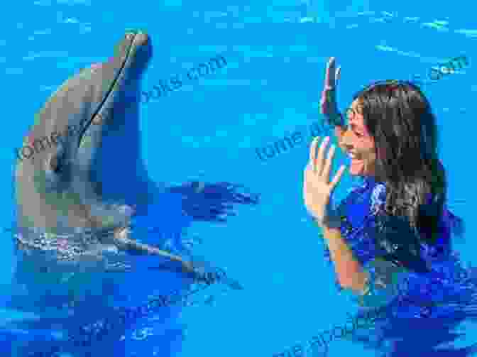 Dolphin Intelligent Animals You Need To Meet Animal Age 8 Children S Animal