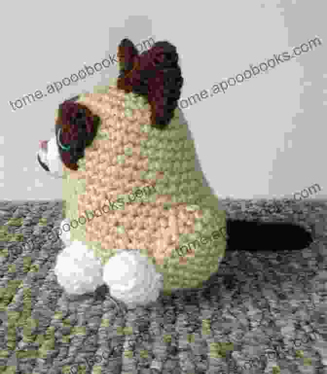 Grumpy Cat crochet felting pattern PDF