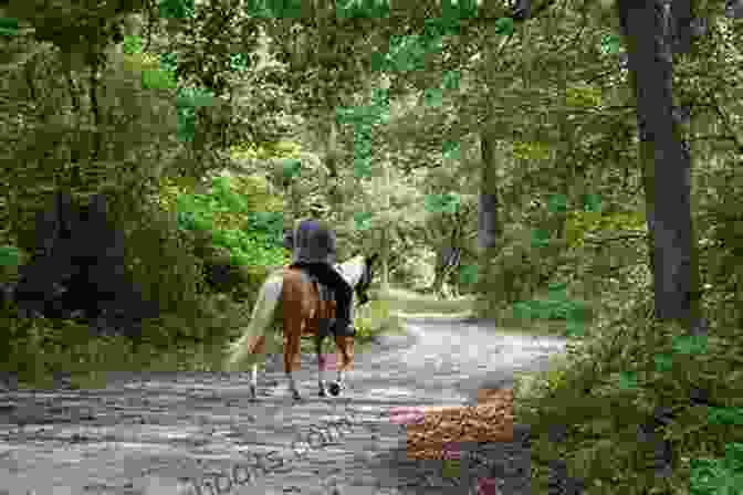 Guests Enjoying A Horseback Ride Through A Picturesque Meadow, Surrounded By Wildflowers And Blue Skies The Retreat (The Birch Creek Ranch 4)