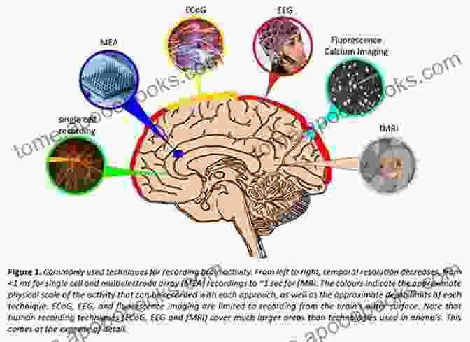 Image Of A Neuroeducational Platform That Monitors Brain Activity During Learning Tasks. Technology Innovations For Behavioral Education