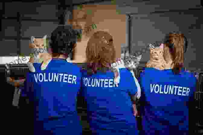 Joyful Volunteers Surrounded By Playful Animals In A Shelter Sheltered Times: Stories And Thoughts On Volunteering At Animal Shelters