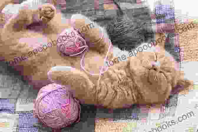 Kitten Playing With A Ball Of Yarn Kitten Love: The Trilogy Ariele M Huff