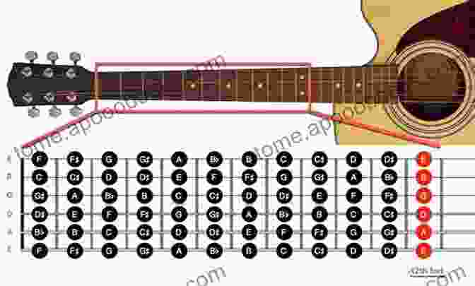 Labeled Image Of A Fretboard's Parts Guitar Note Finder: Learn The Notes On The Fretboard