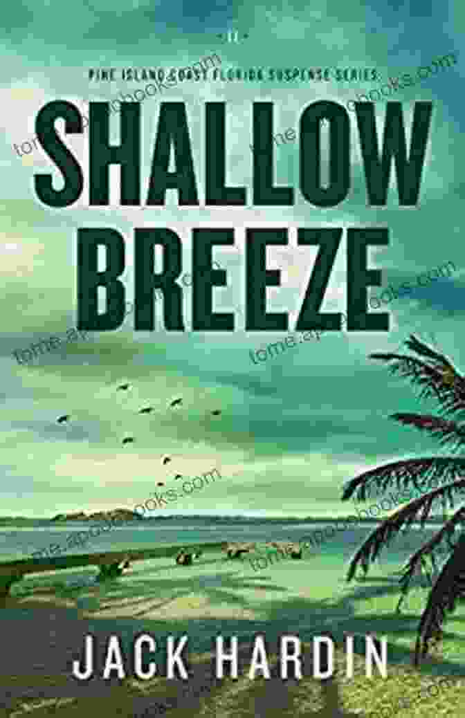 Shallow Breeze Book Cover Featuring A Woman In A Flowing Dress, With Old Ruins In The Background Shallow Breeze (Ellie O Conner 2)