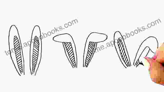 Step 1: Form The Bunny Ears Shoe Tieing For Beginners Simplified: The Ultimate Guide To Learn And Master How To Quickly Tie Your Shoes From Scratch With Ease