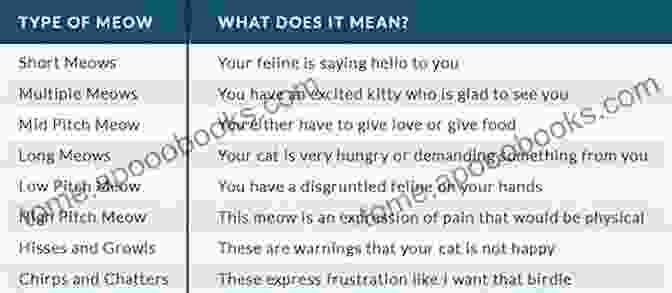 Table Listing Different Cat Meow Types And Their Possible Meanings DECODING YOUR CAT BEHAVIOR: UNDERSTANDING AND SPEAKING CAT BODY LANGUAGE