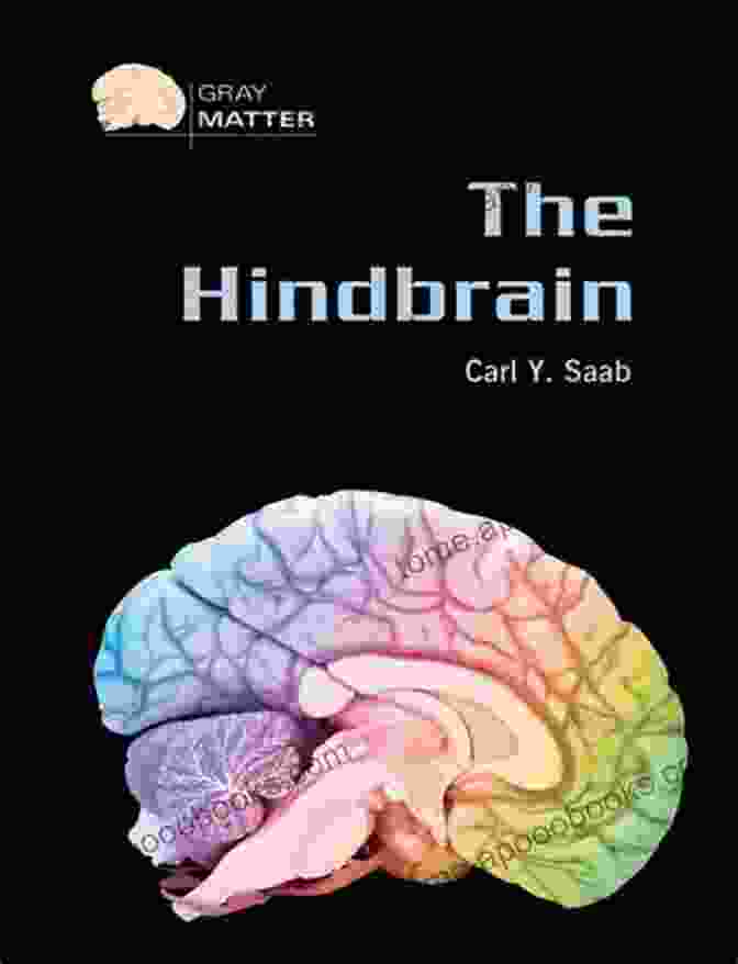 The Hindbrain Gray Matter: Unlocking The Power Of Your Inner Brain By Carl Saab The Hindbrain (Gray Matter) Carl Y Saab