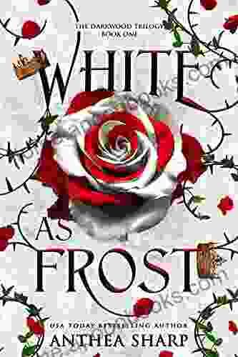 White as Frost: A Dark Elf Fairytale (The Darkwood Trilogy 2)