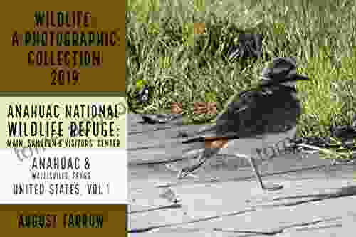 Wildlife: 9 Days In Anahuac National Wildlife Refuge 2024: A Photographic Collection: Vol 1 (Wildlife: Anahuac Surrounding Areas: Texas)