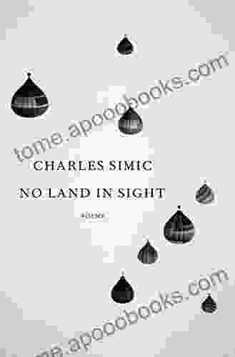 No Land In Sight: Poems