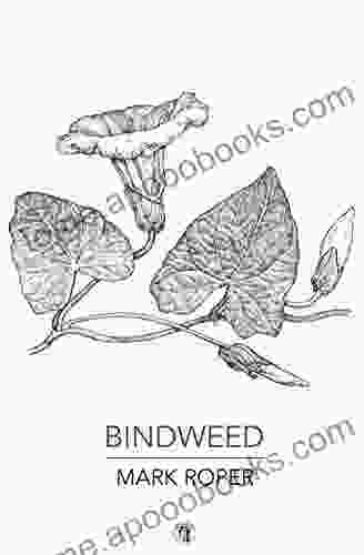 Bindweed Aurielle Marie