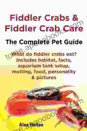 Fiddler Crabs Fiddler Crab Care The Complete Pet Guide What Do Fiddler Crabs Eat? Includes Habitat Facts Aquarium Tank Setup Molting Food Personality Pictures