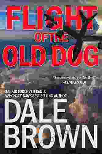 Flight of the Old Dog (Patrick McLanahan 1)