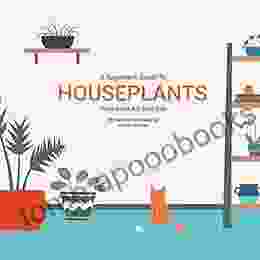 Houseplants (That Won T Kill Your Cat)