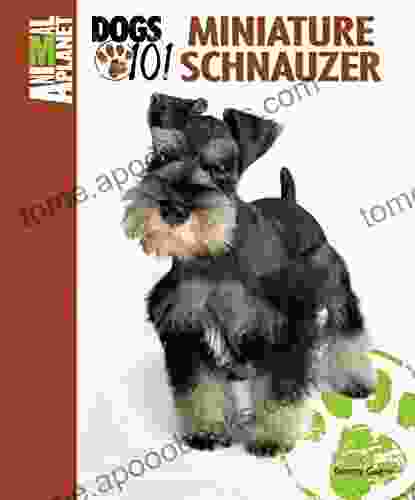 Miniature Schnauzer (Animal Planet Dogs 101)