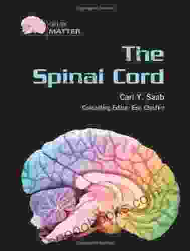 The Spinal Cord (Gray Matter)