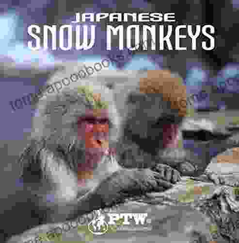 Japanese Snow Monkeys Jennifer Robin