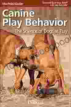 Canine Play Behavior The Science Of Dogs At Play