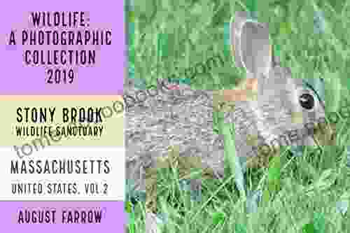 Wildlife: 3 Days In Massachusetts 2024: A Photographic Collection: Vol 2 (Wildlife: Massachusetts)